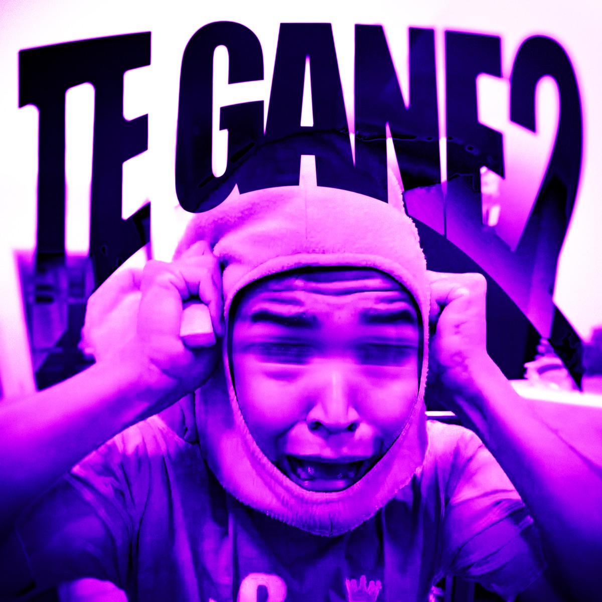 TE GANE, Vol. 2 - Single by RD12, DJ VETA3, DJ ALIM & LDRR album cover
