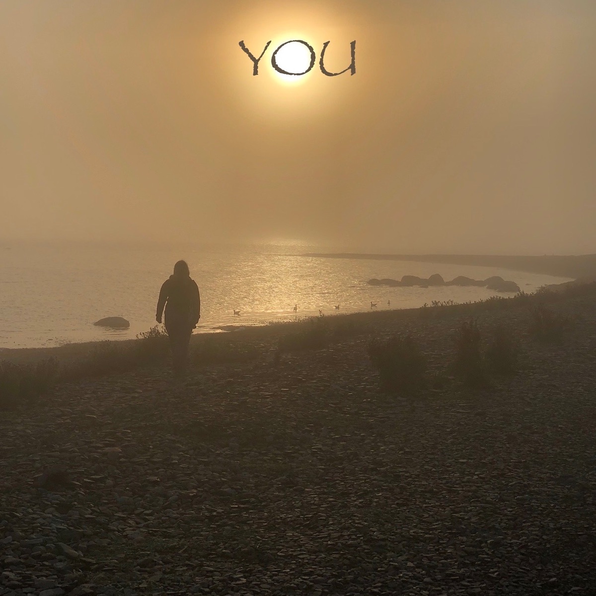 You - Single by Viv&Andy album cover