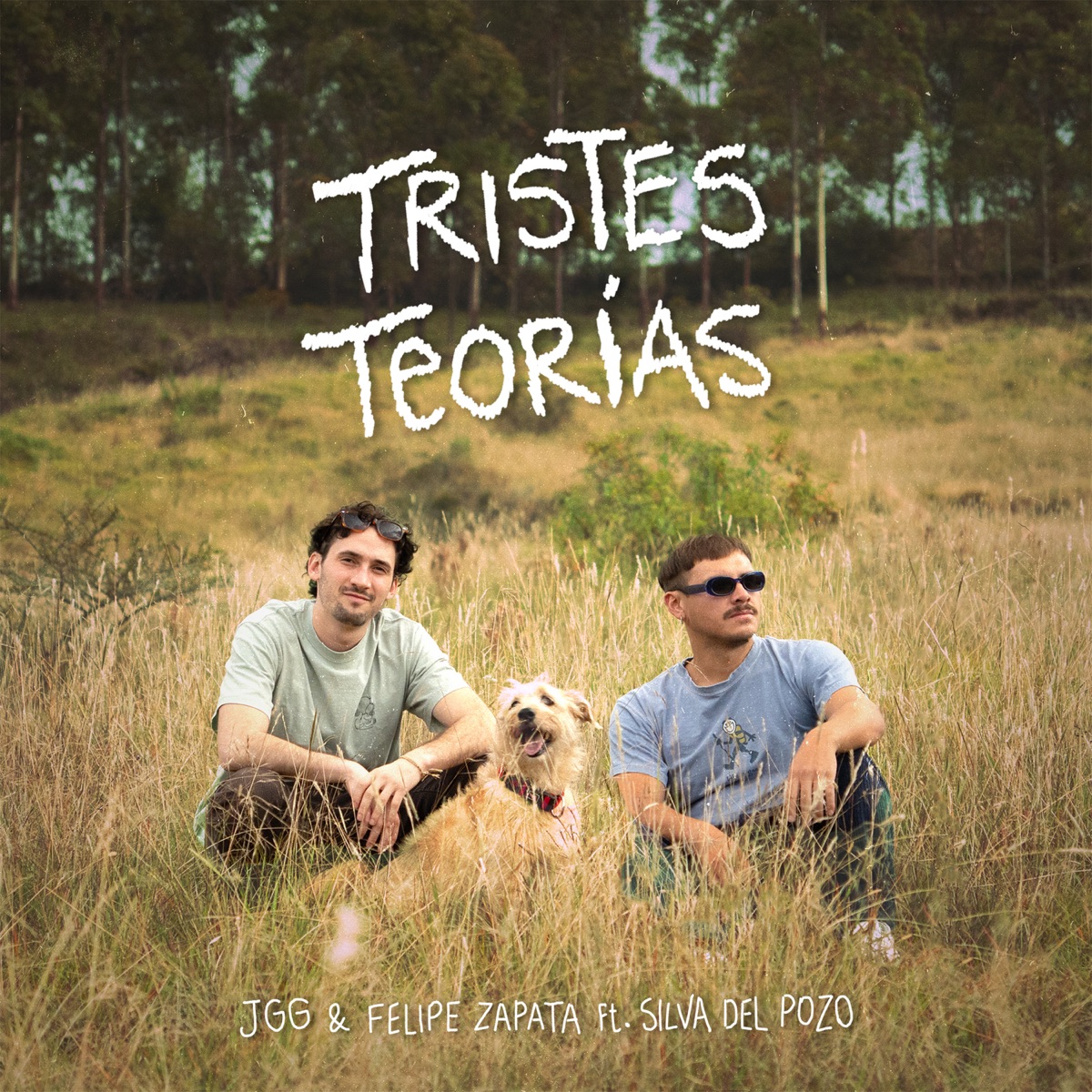 Tristes Teorías (feat. Silva, del Pozo) - Single by Felipe Zapata & JGG album cover