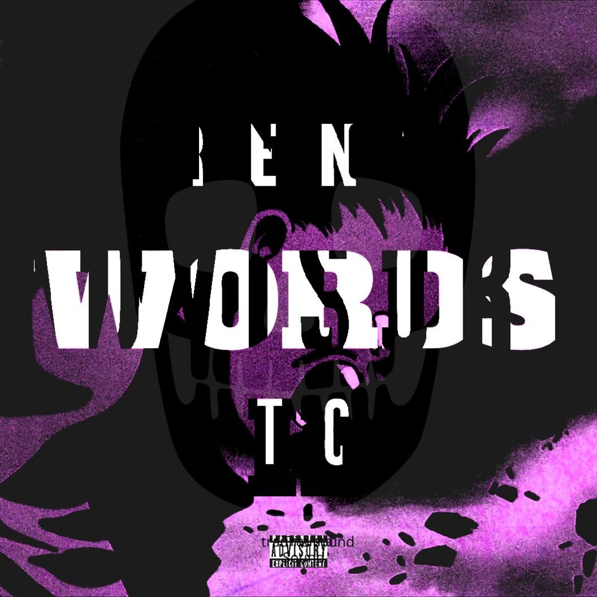 NO WORDS pt II - Single by Sujai album cover