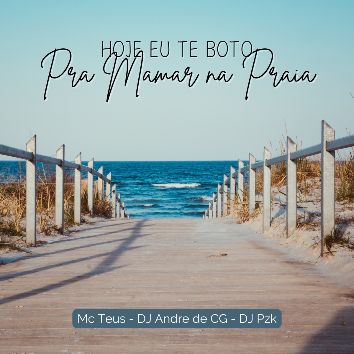 Hoje Eu Te Bôto pra Mamar na Praia - Single by DJ ANDRE DE CG, Mc Teus & DJ PZK album cover