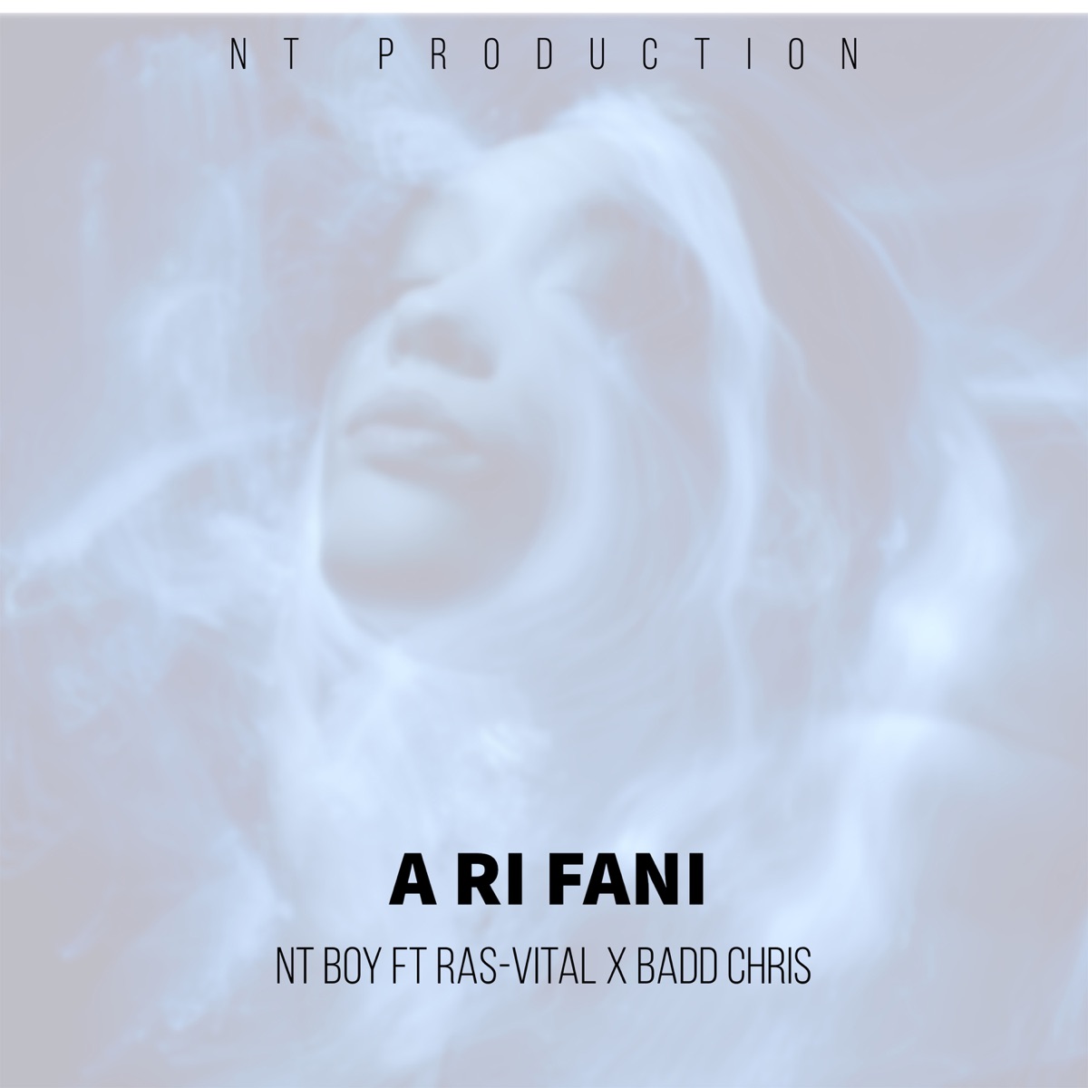 A ri fani (feat. Ras-Vital) [with Badd Chris] - Single by NT BOY album cover