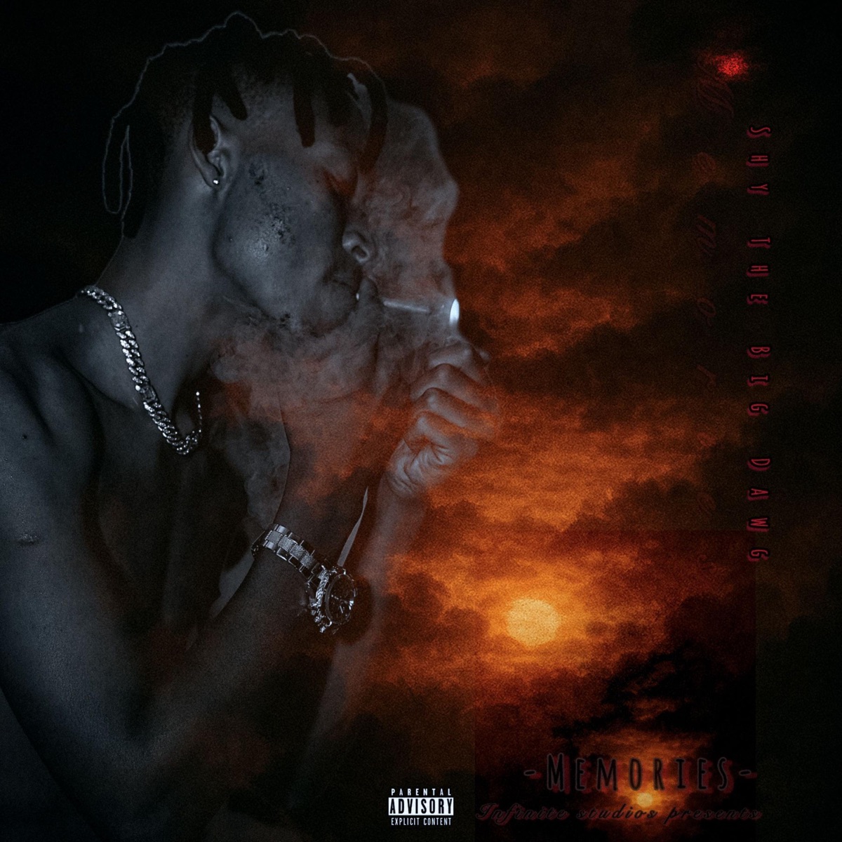Memories - Single by Shy The Big Dawg album cover