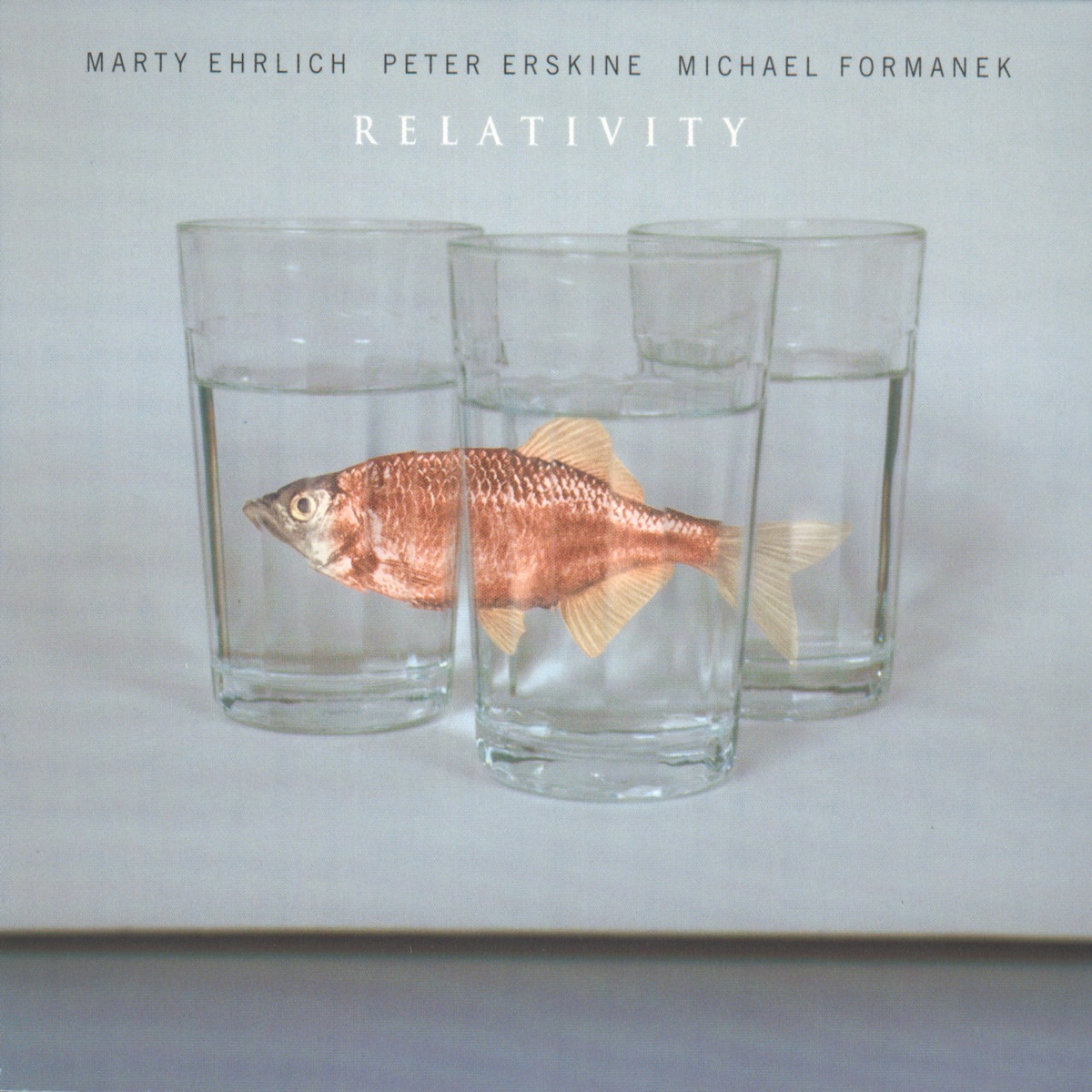 Relativity by Peter Erskine, Michael Formanek & Marty Ehrlich album cover