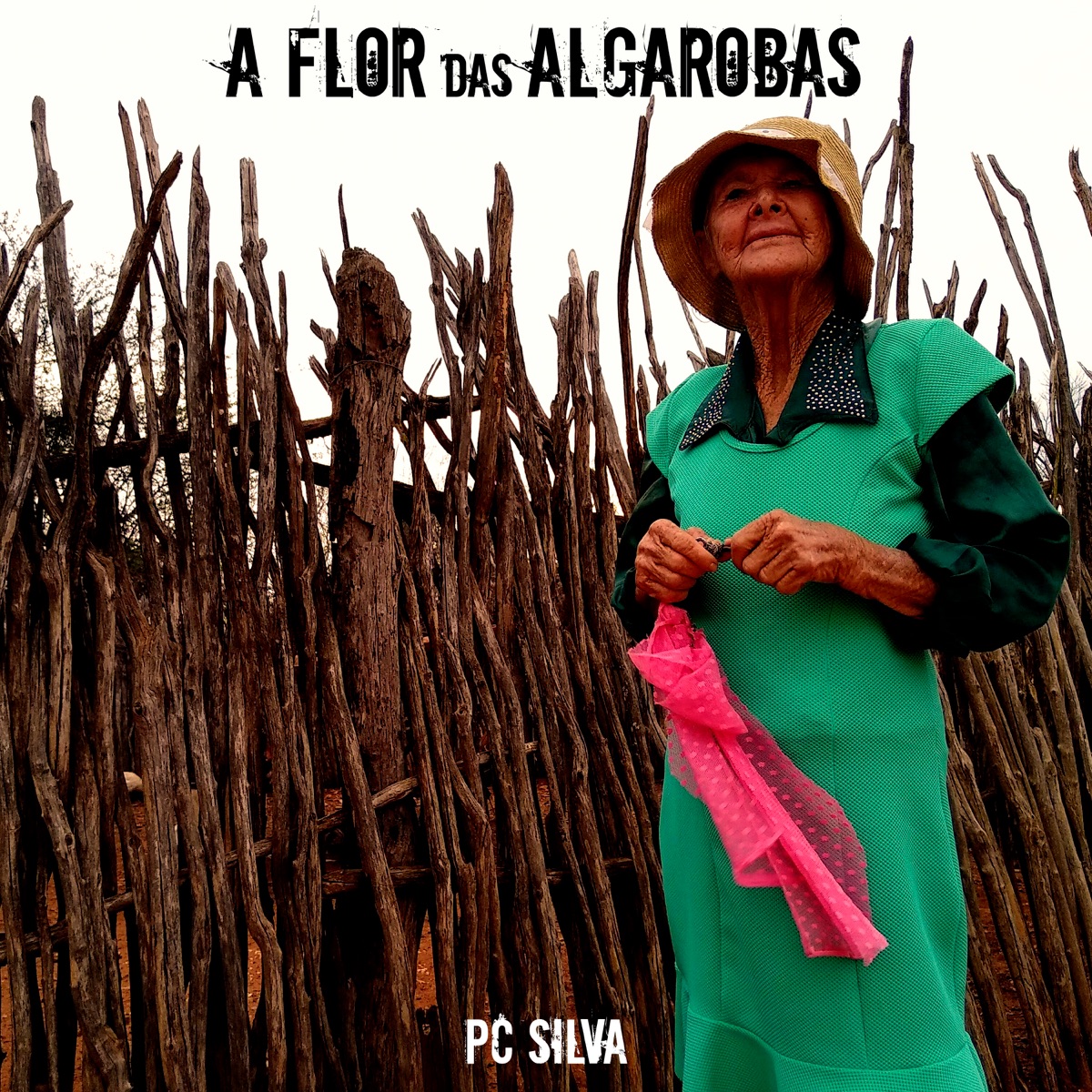A Flor das Algarobas - Single by PC Silva album cover