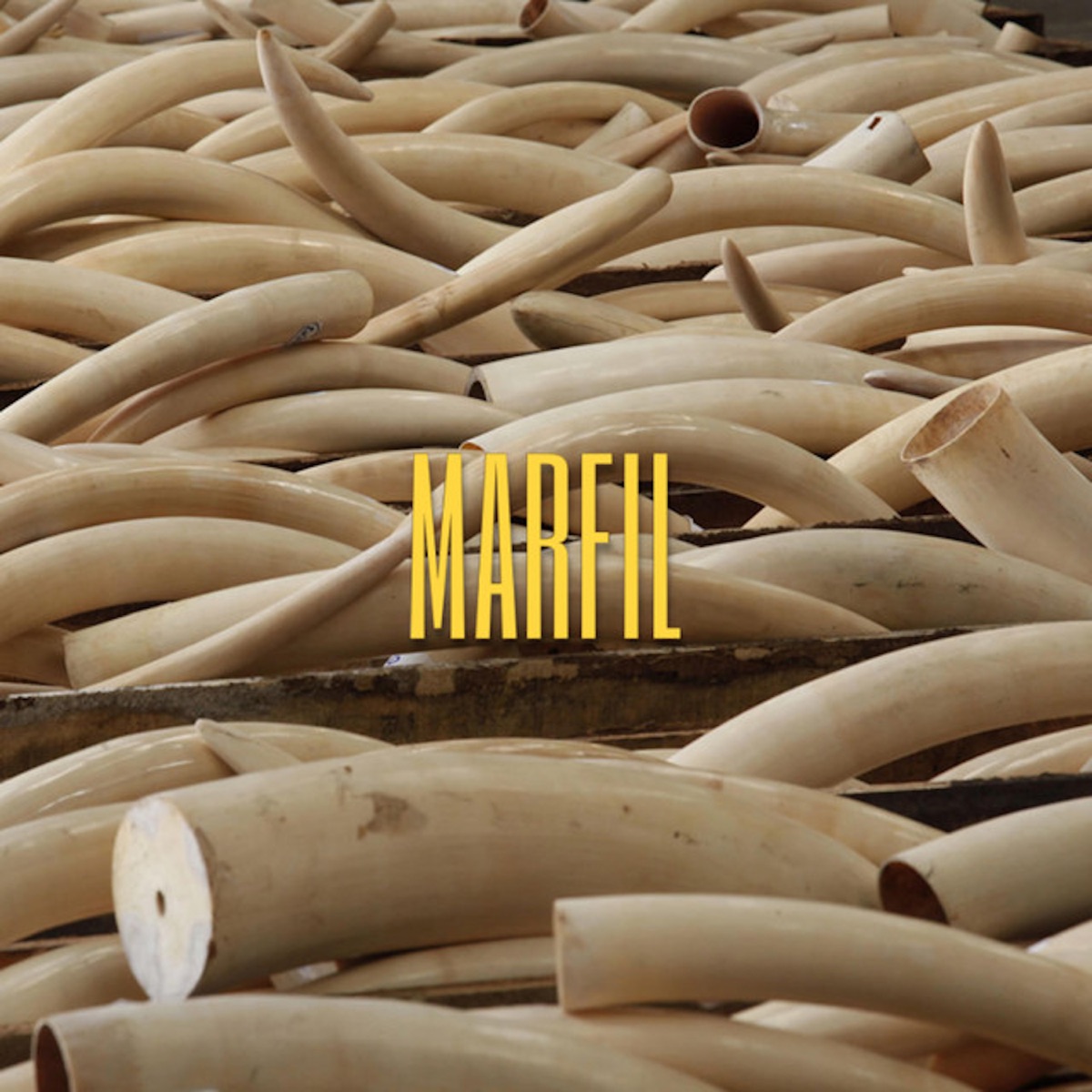 Marfil - Single by kebin solera album cover