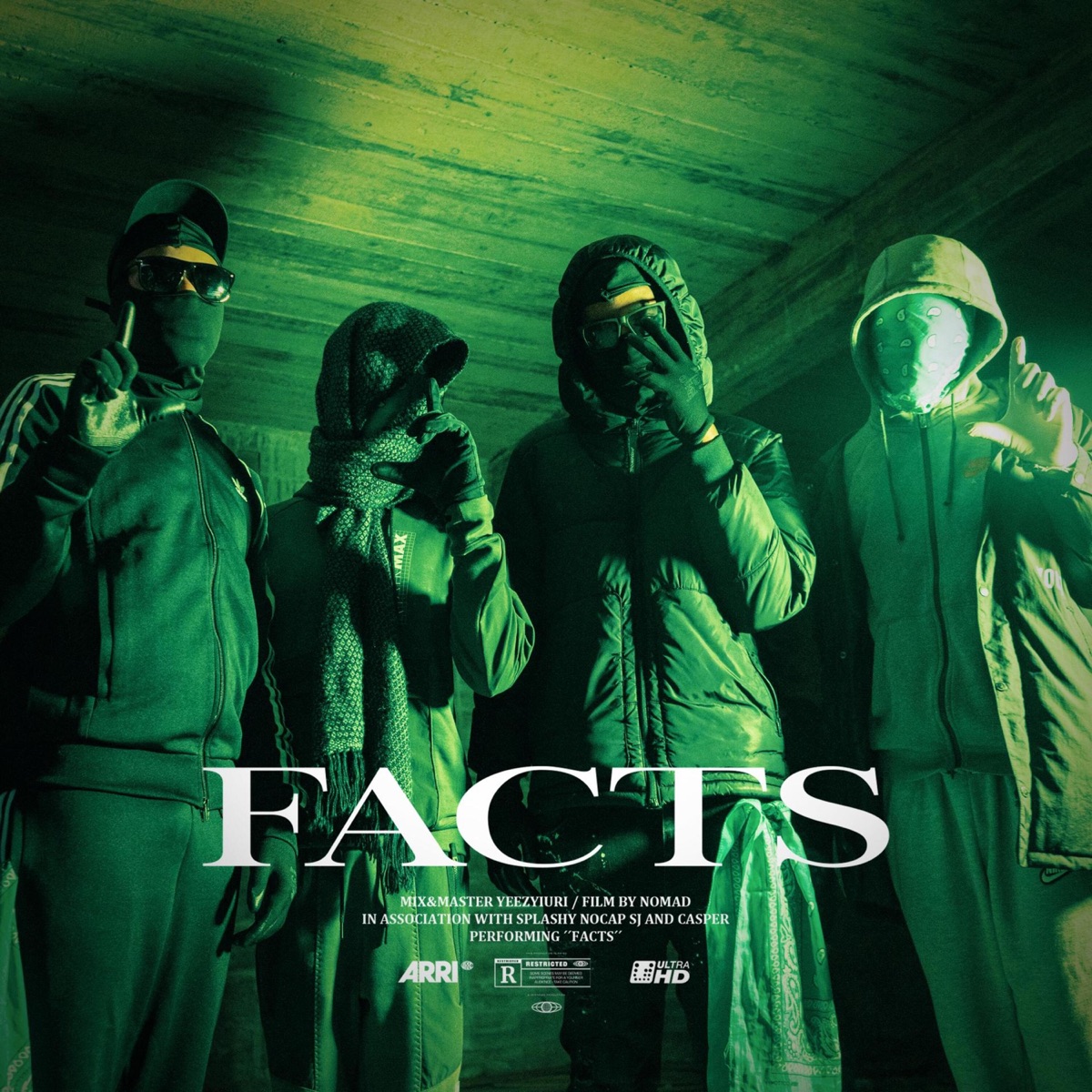 Facts - Single by PKA album cover