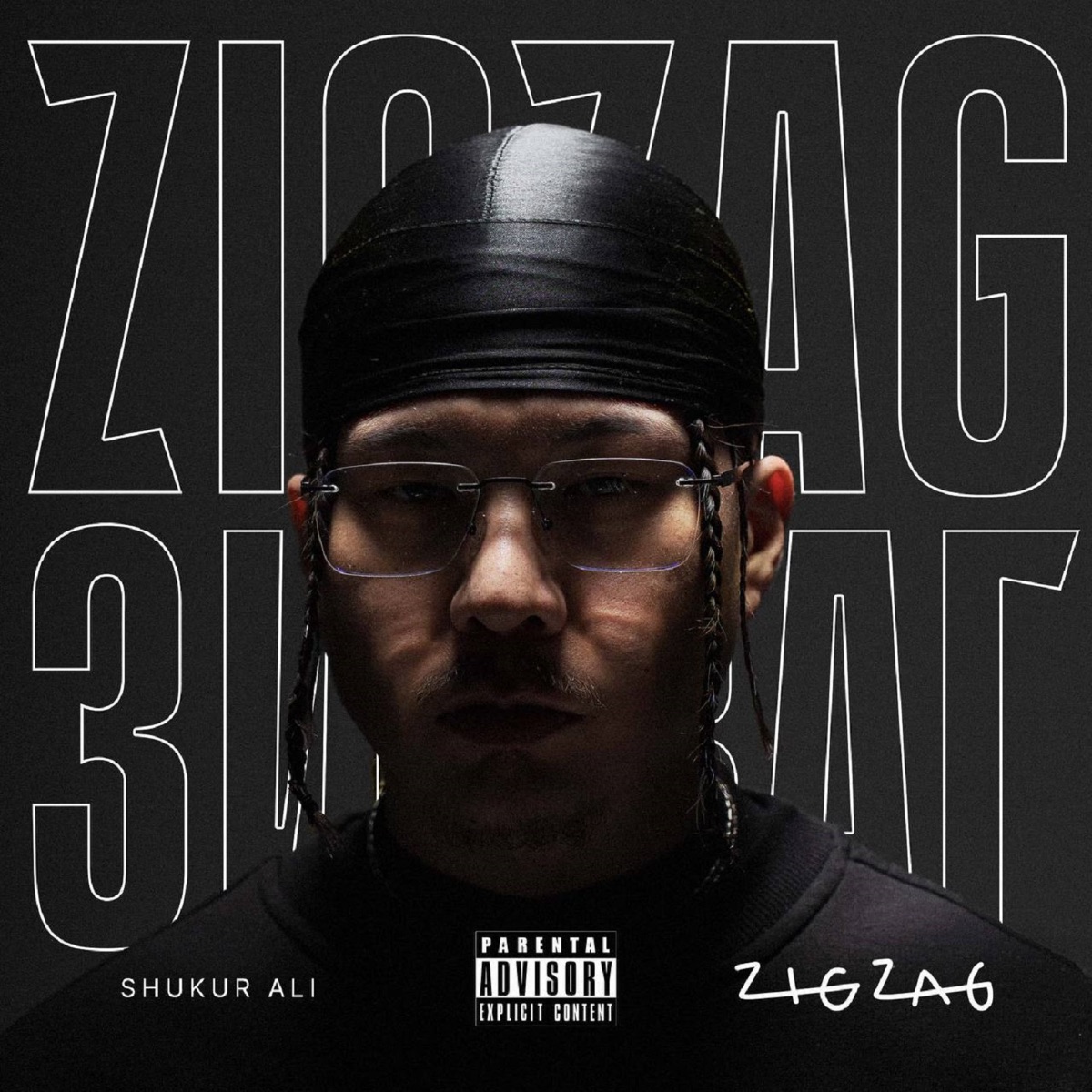 Zig Zag - Single by Shukur Ali album cover