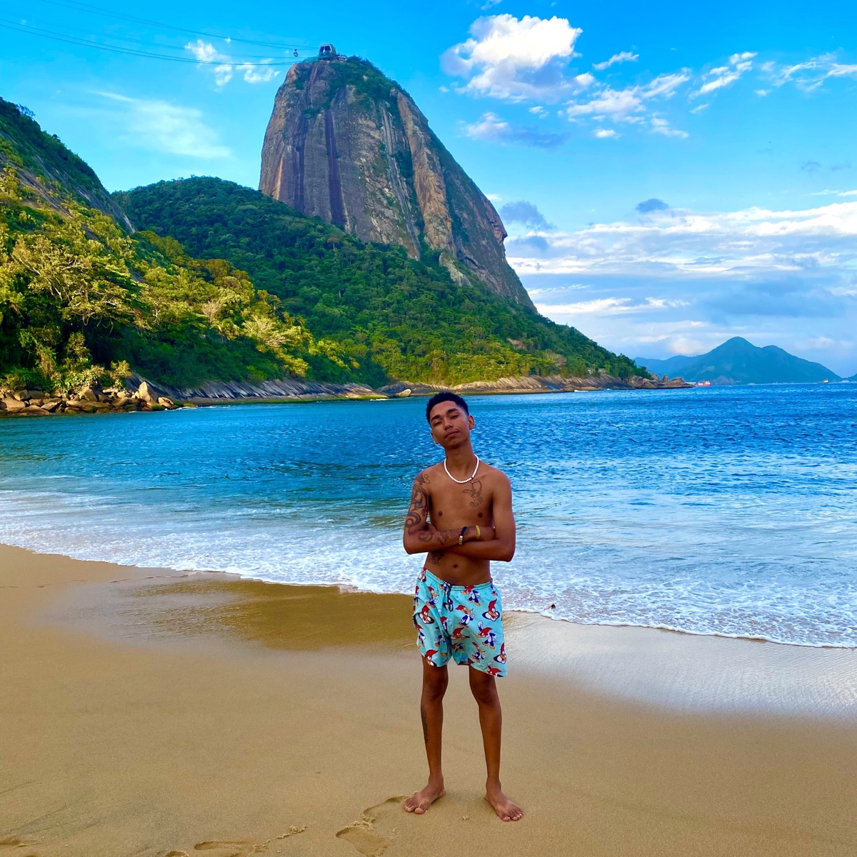 Menino do Rio - Single by Gutinho album cover