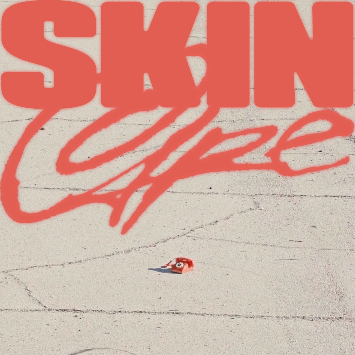 Skincare - Single by Shack Rose album cover