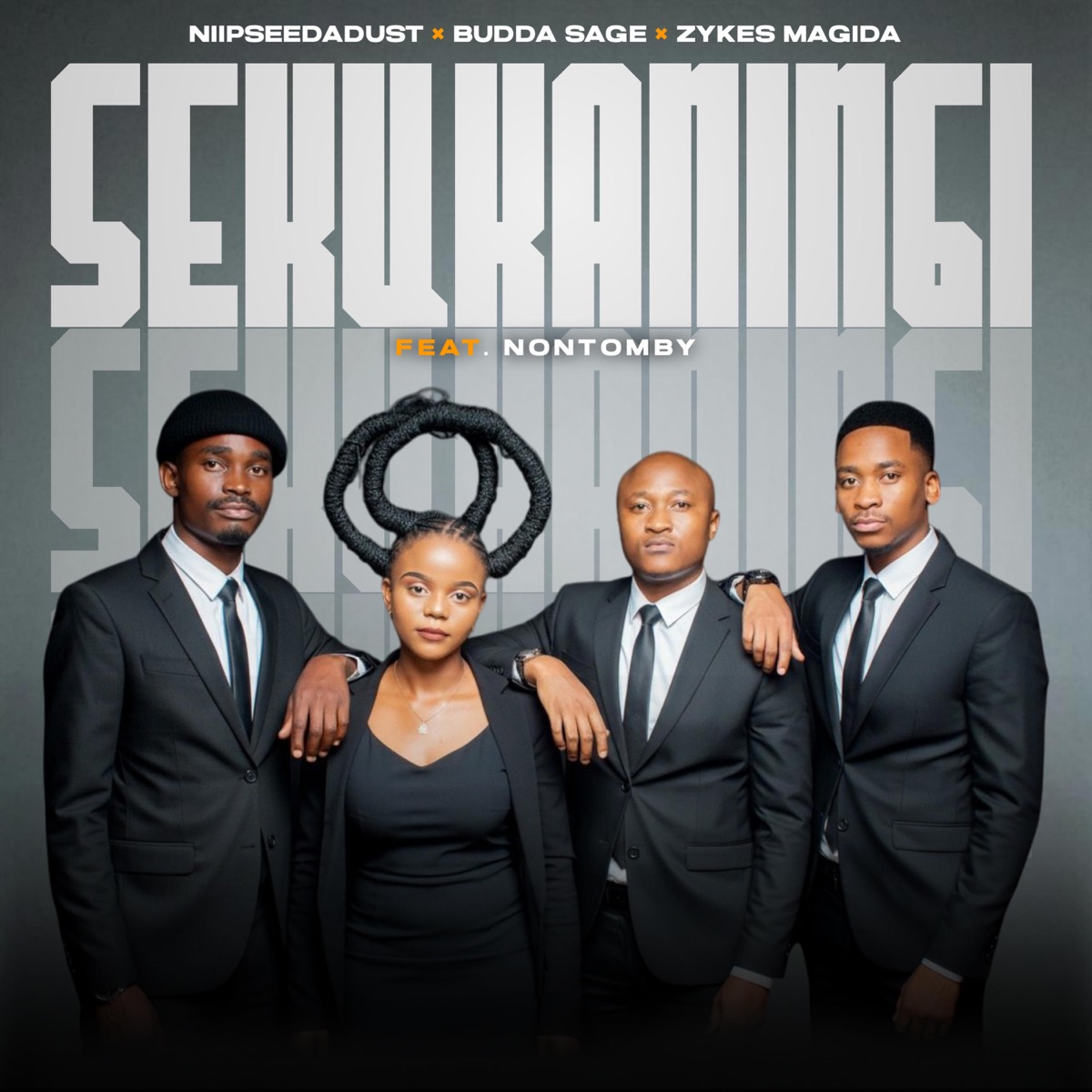 Sekukaningi (feat. Budda Sage, Zykes Magida & Nontomby) - Single by Niipseedadust album cover