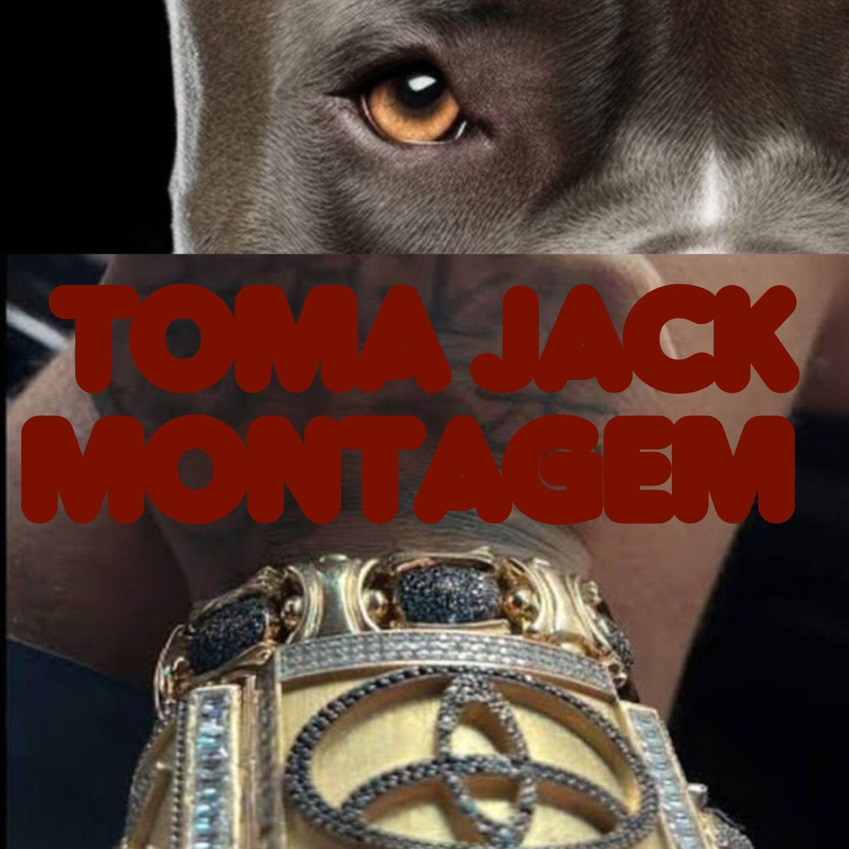 TOMA JACK MONTAGEM - Single by David Bolado album cover
