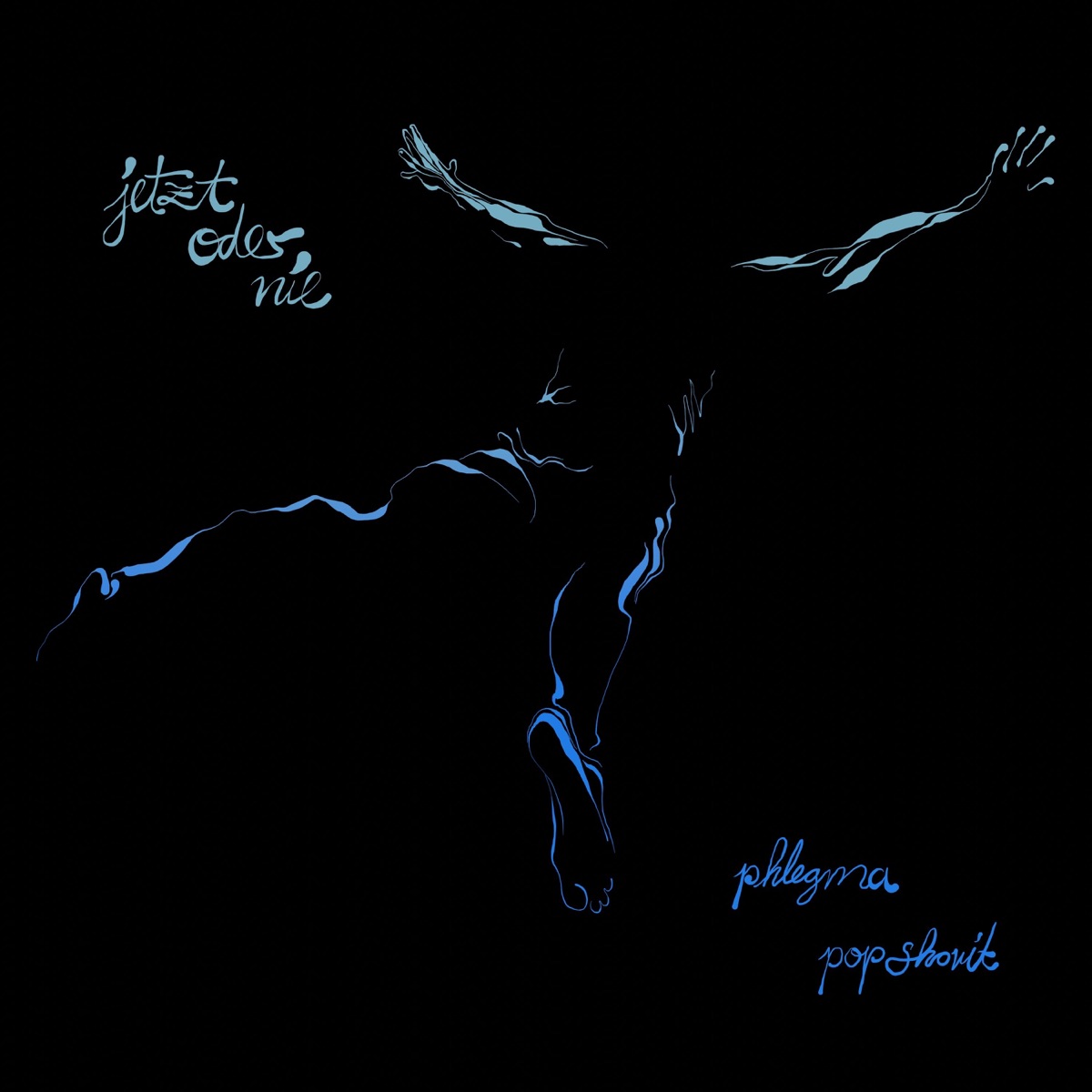 Jetzt oder Nie - Single by Phlegma & Pop Shovit album cover