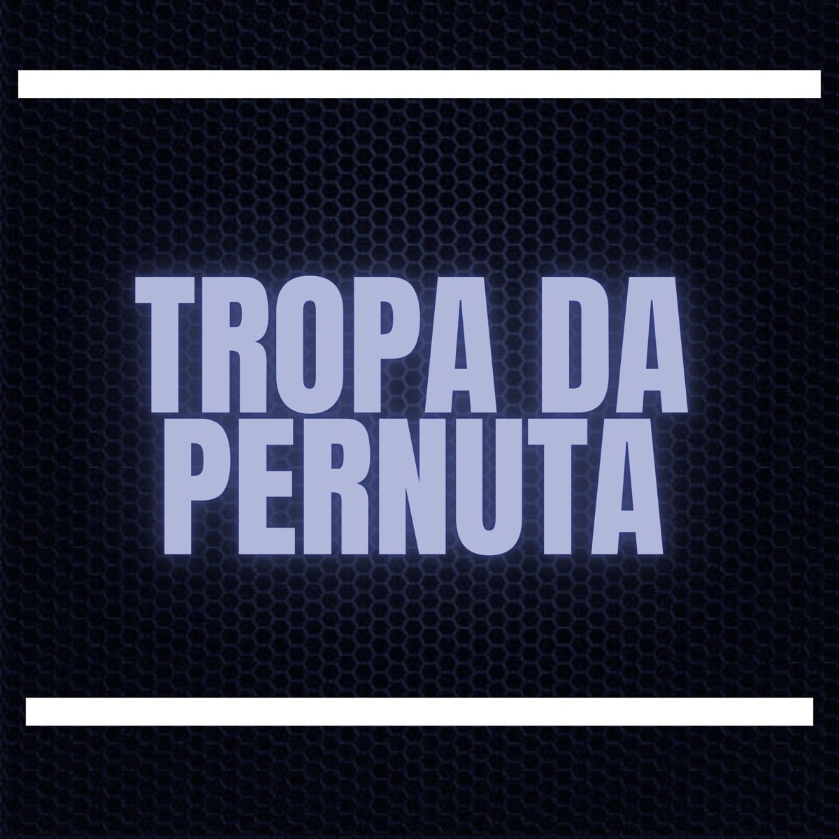 Tropa da Pernuta - Single by mc f2s & Dj Hud album cover