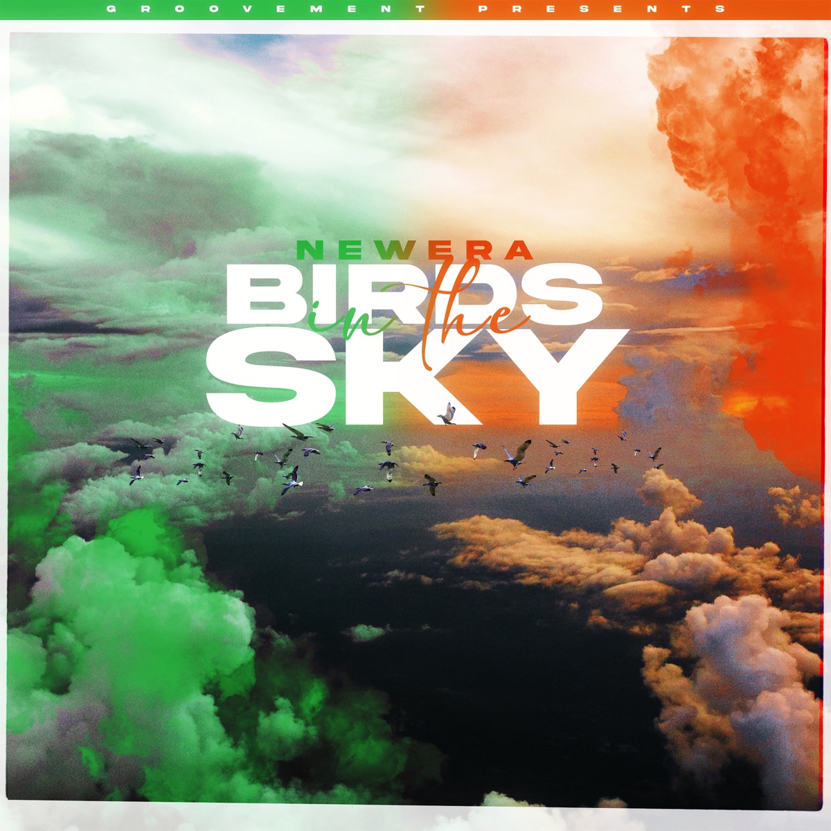Birds In The Sky (Irish Remix Pack) - Single by NewEra album cover