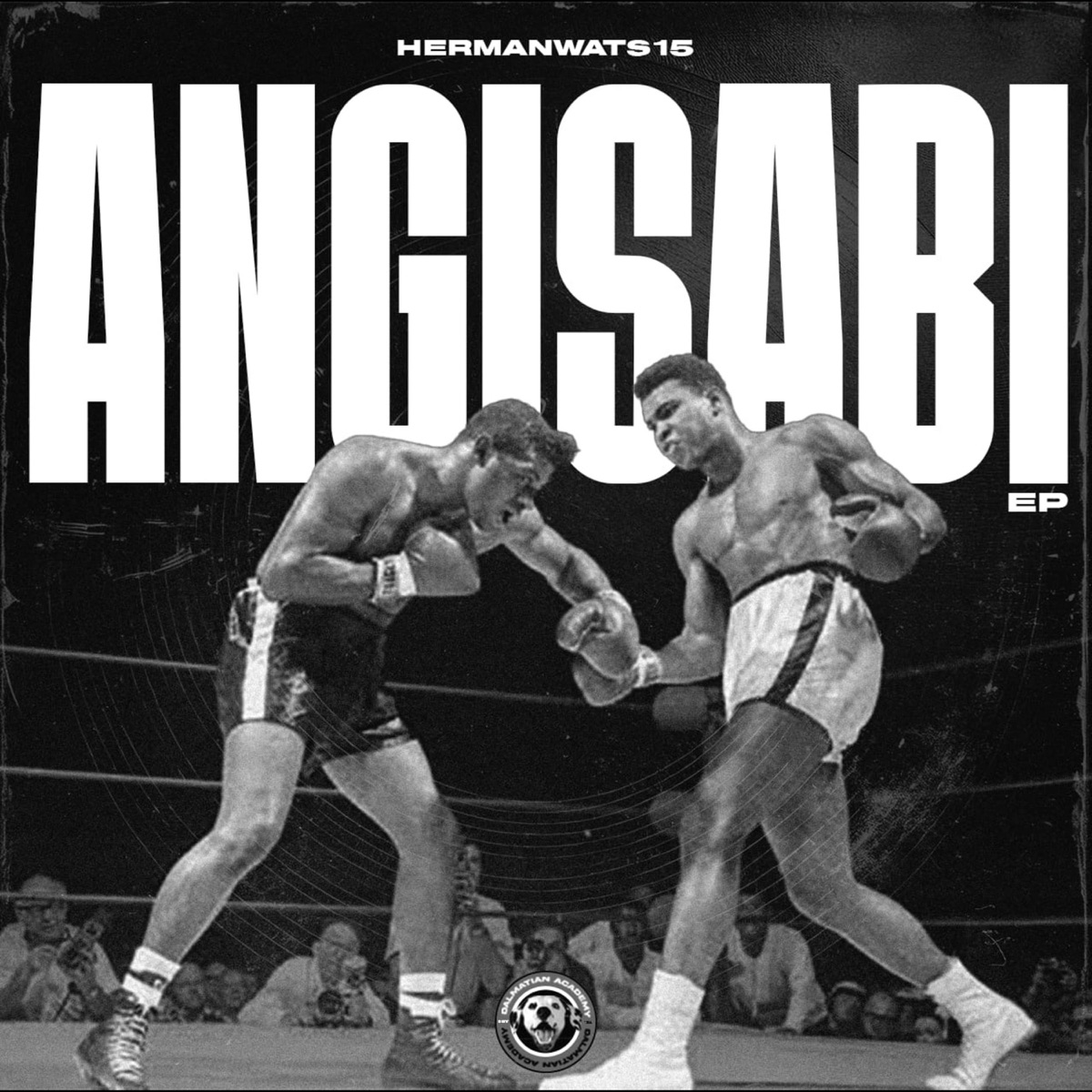 Angisabi by HermanWats15 album cover