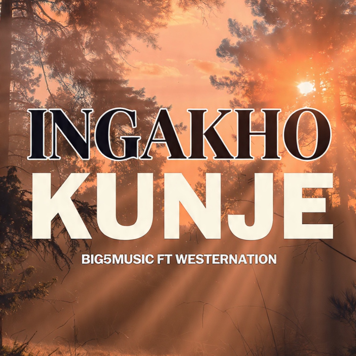 Ingakho kunje - Single by Big5music & Westernation album cover