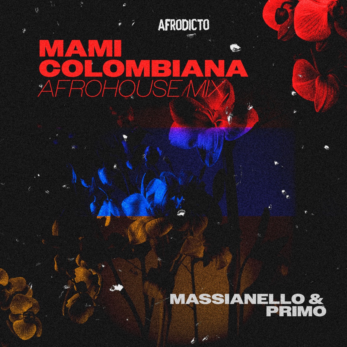 Mami Colombiana (Afro House Mix) - Single by Massianello & PRIMO album cover