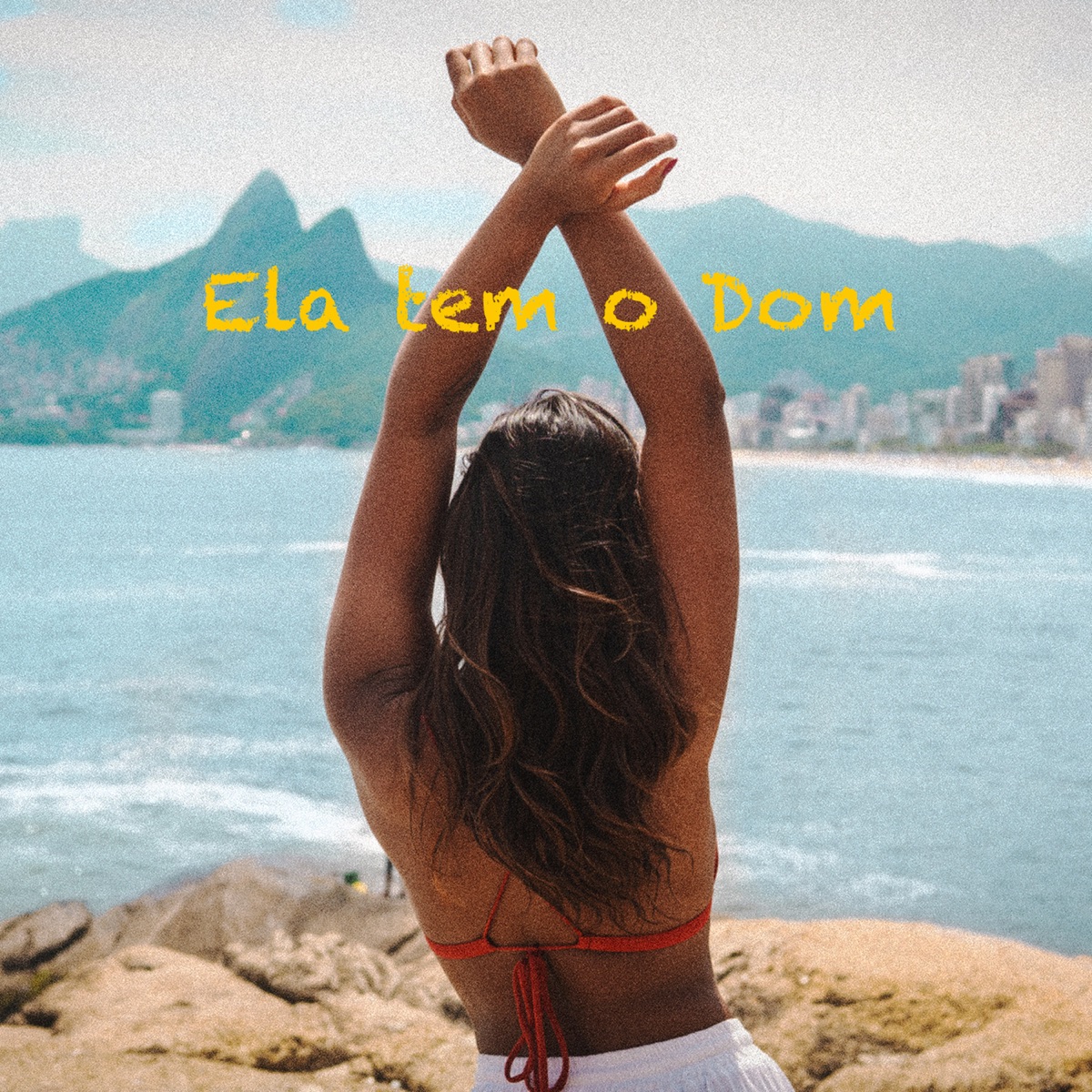 Ela tem o dom - Single by Tritom album cover