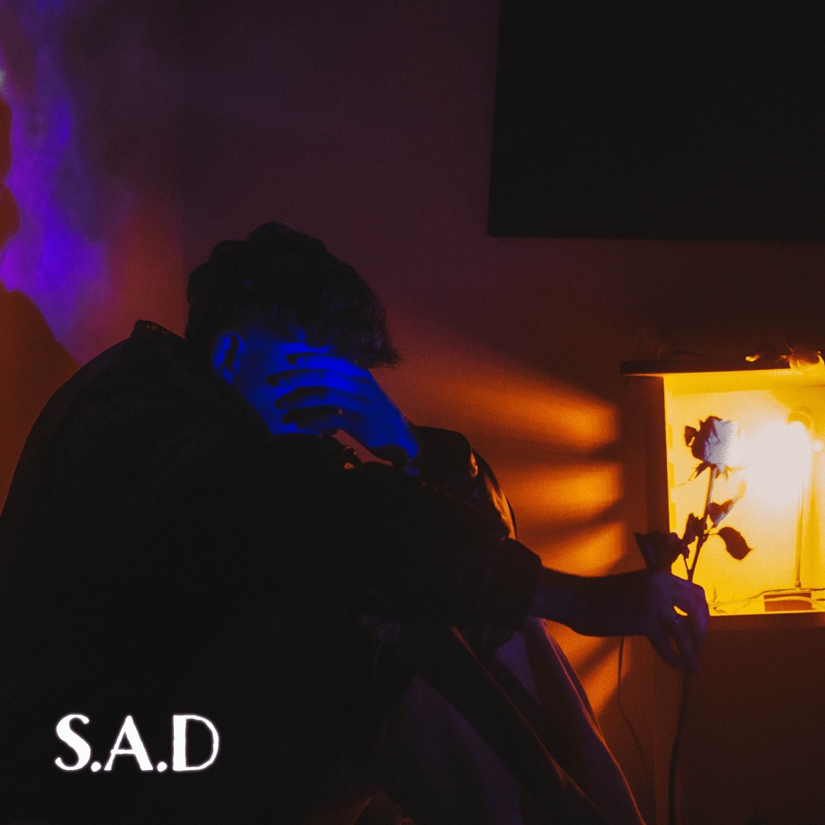 S.A.D - Single by Favero album cover