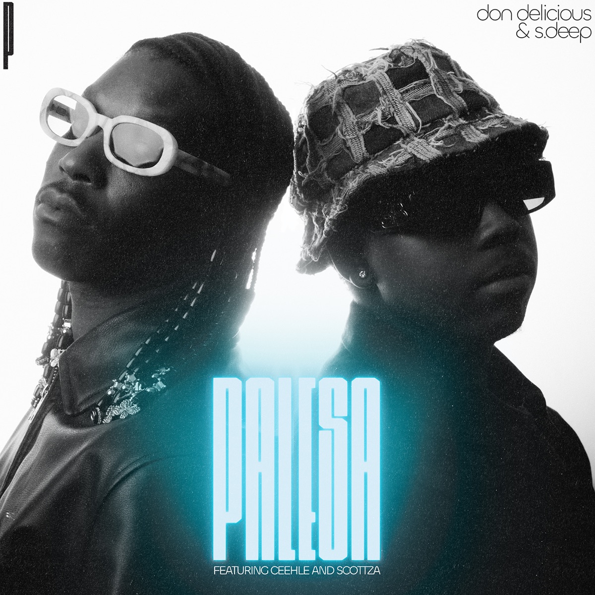 PALESA (feat. Ceehle, Scottza) - Single by Don Delicious & S.DEEP album cover