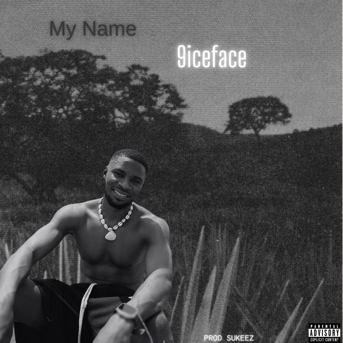 MY NAME - Single by 9iceface album cover