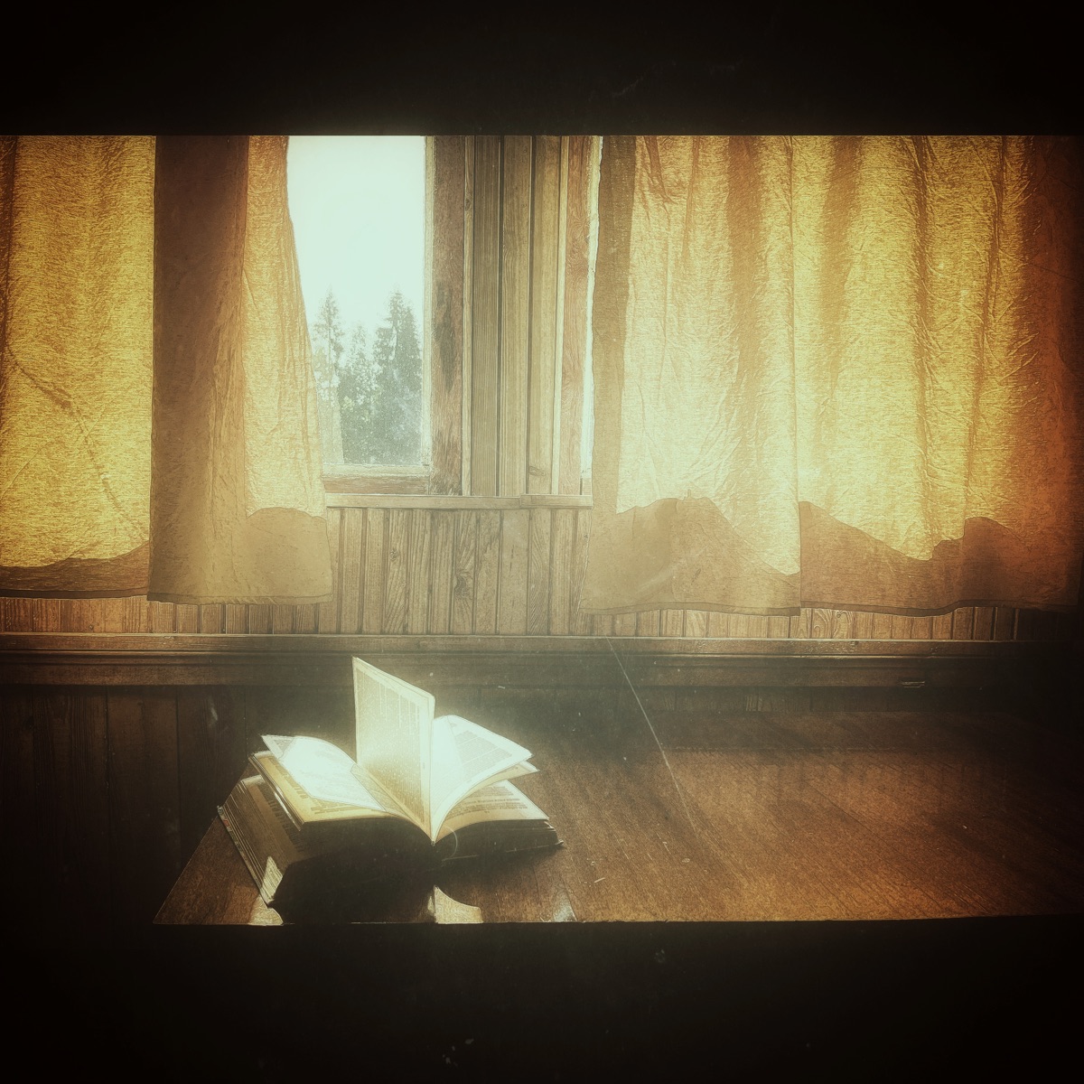 Words Full of Nothing by Wata album cover