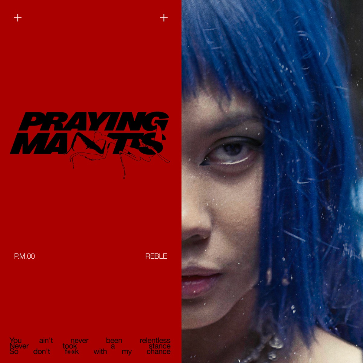 Praying Mantis - Single by Reble album cover