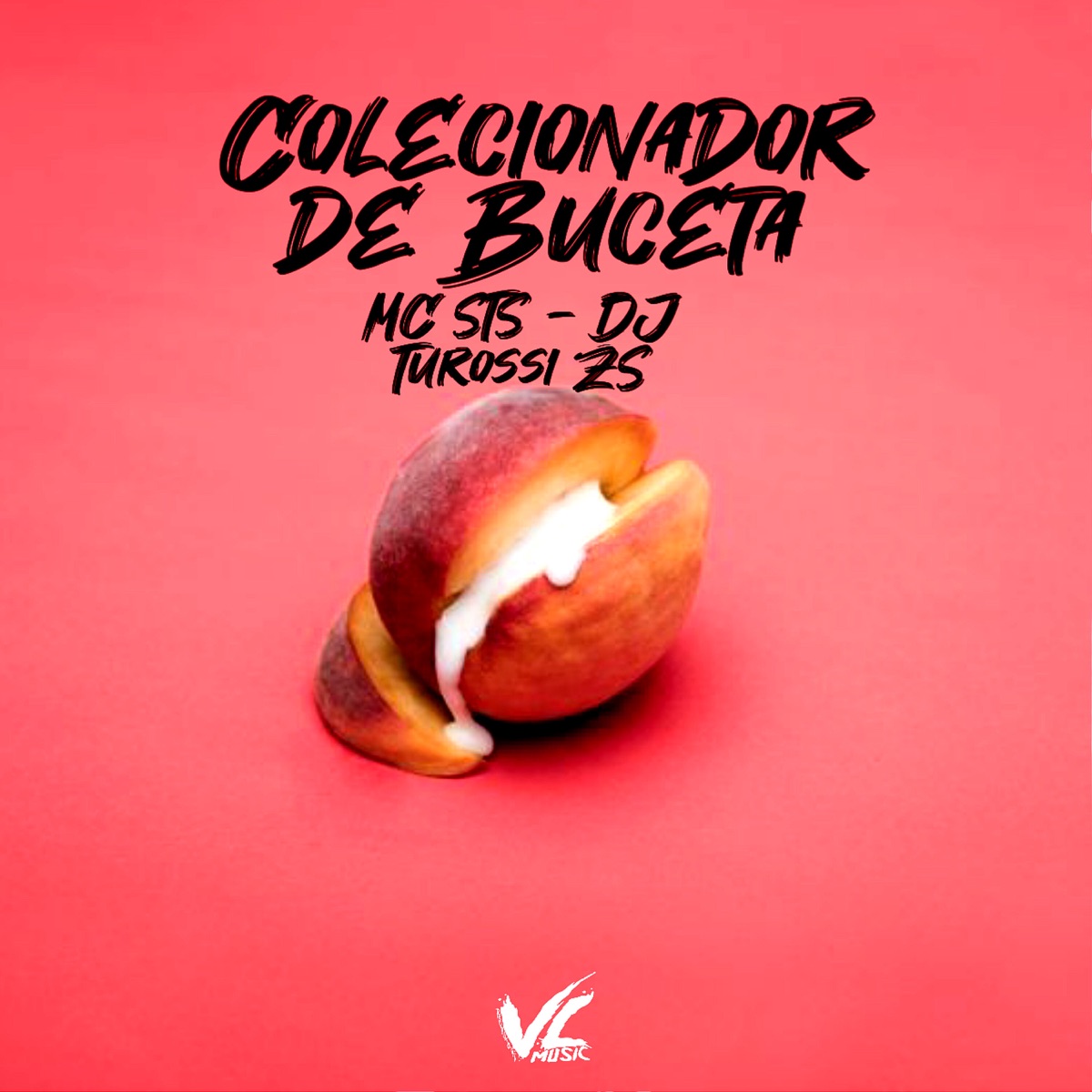 Colecionador de Buceta - Single by DJ Turossi ZS & MC STS album cover