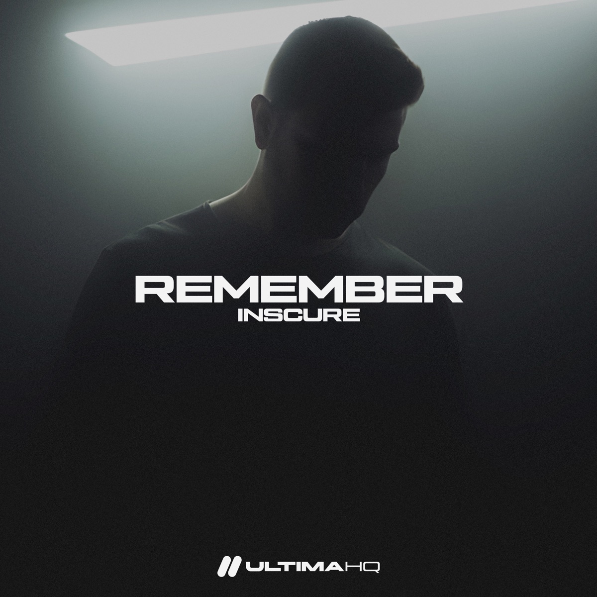 Remember - Single by inscure album cover