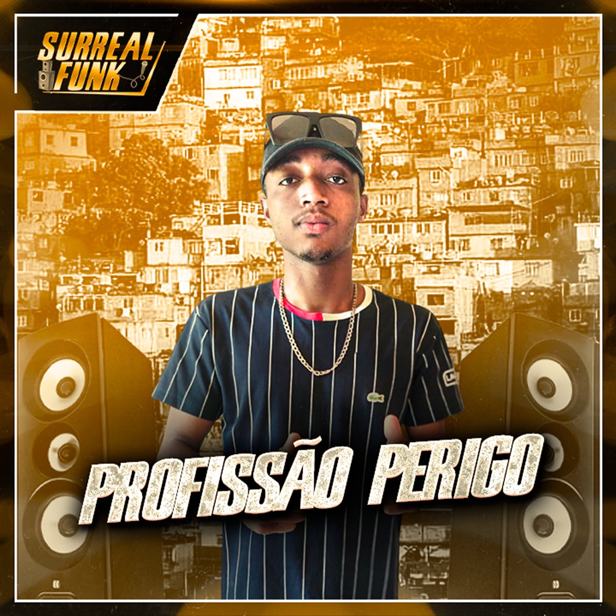 Profissão Perigo - Single by MC NEGO BUCK & Dj Age album cover