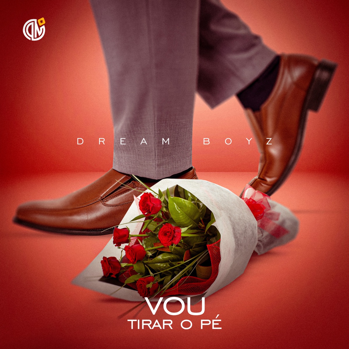 Vou Tirar O Pé - Single by Dream Boyz album cover