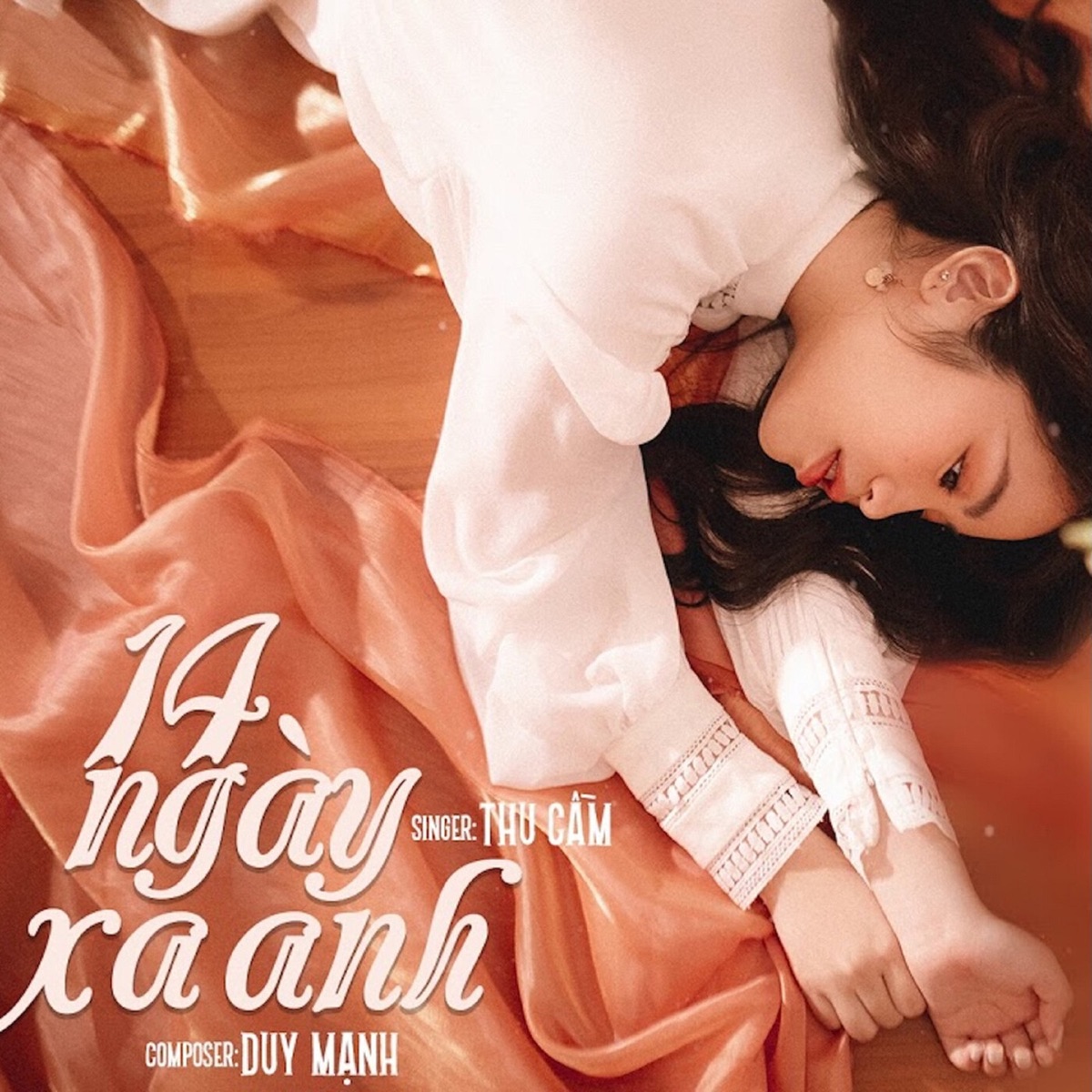14 Ngày Xa Anh - Single by Cầm album cover