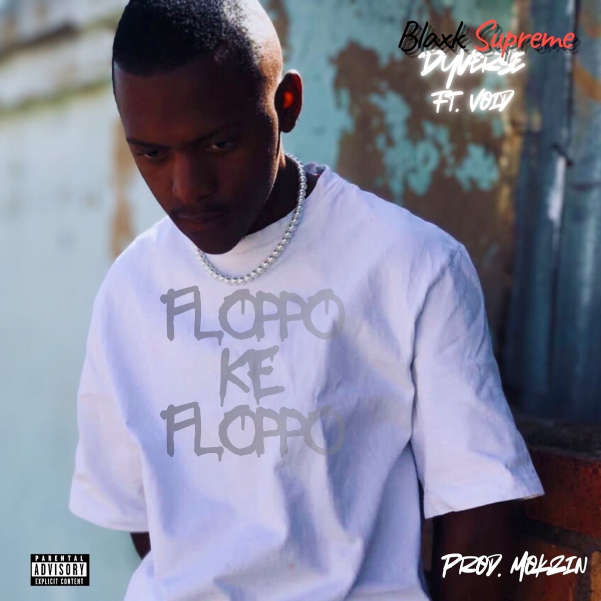 Floppo Ke Floppo (feat. void) - Single by Blaxk Supreme & Dyverse album cover