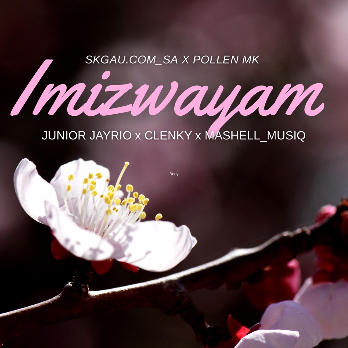 Imizwayam (feat. PollenM.K, Junior Jayrio, Clenky De Wavy & Mashell Musiq) - Single by Skgau.com_SA album cover