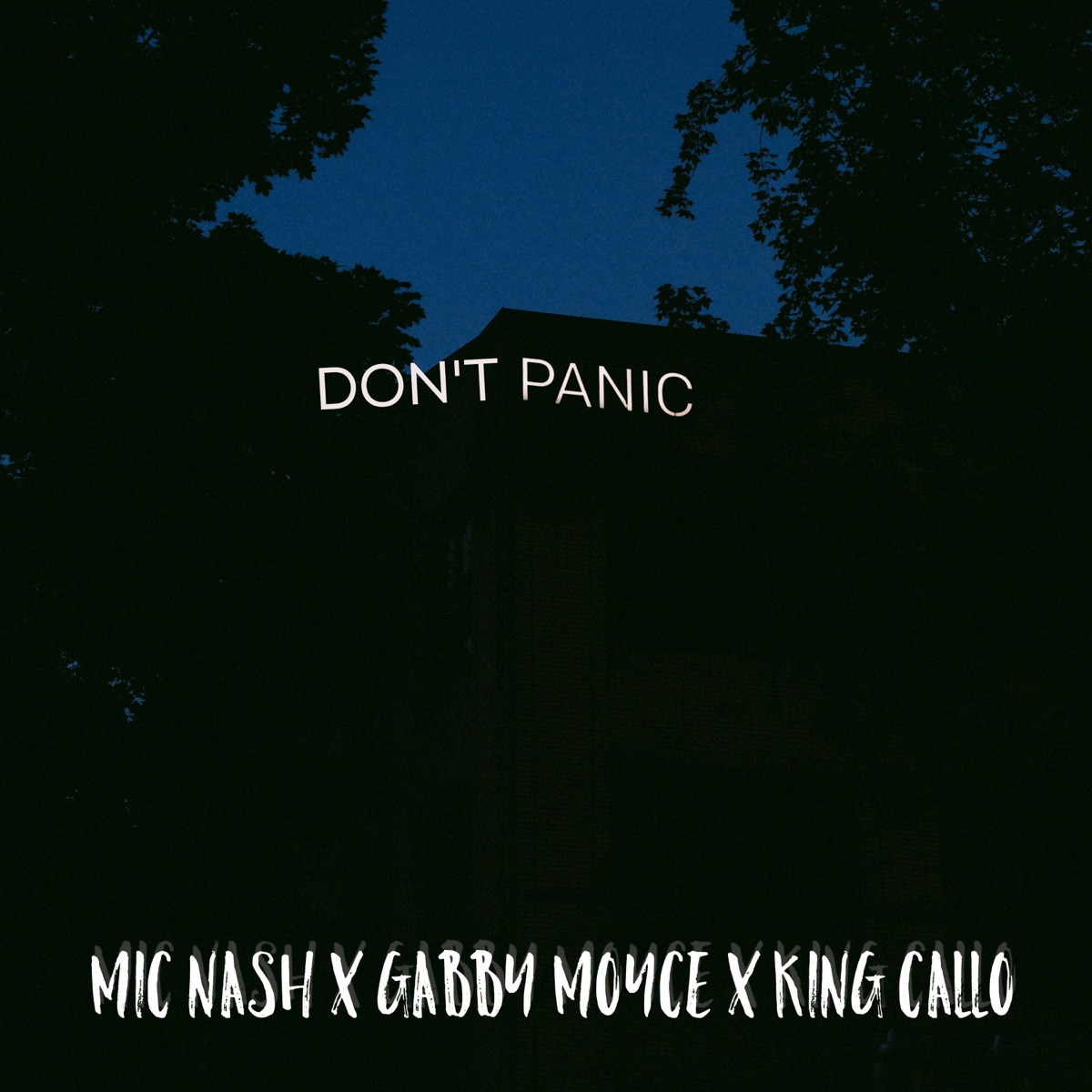 Don't Panic - Single by Mic Nash album cover