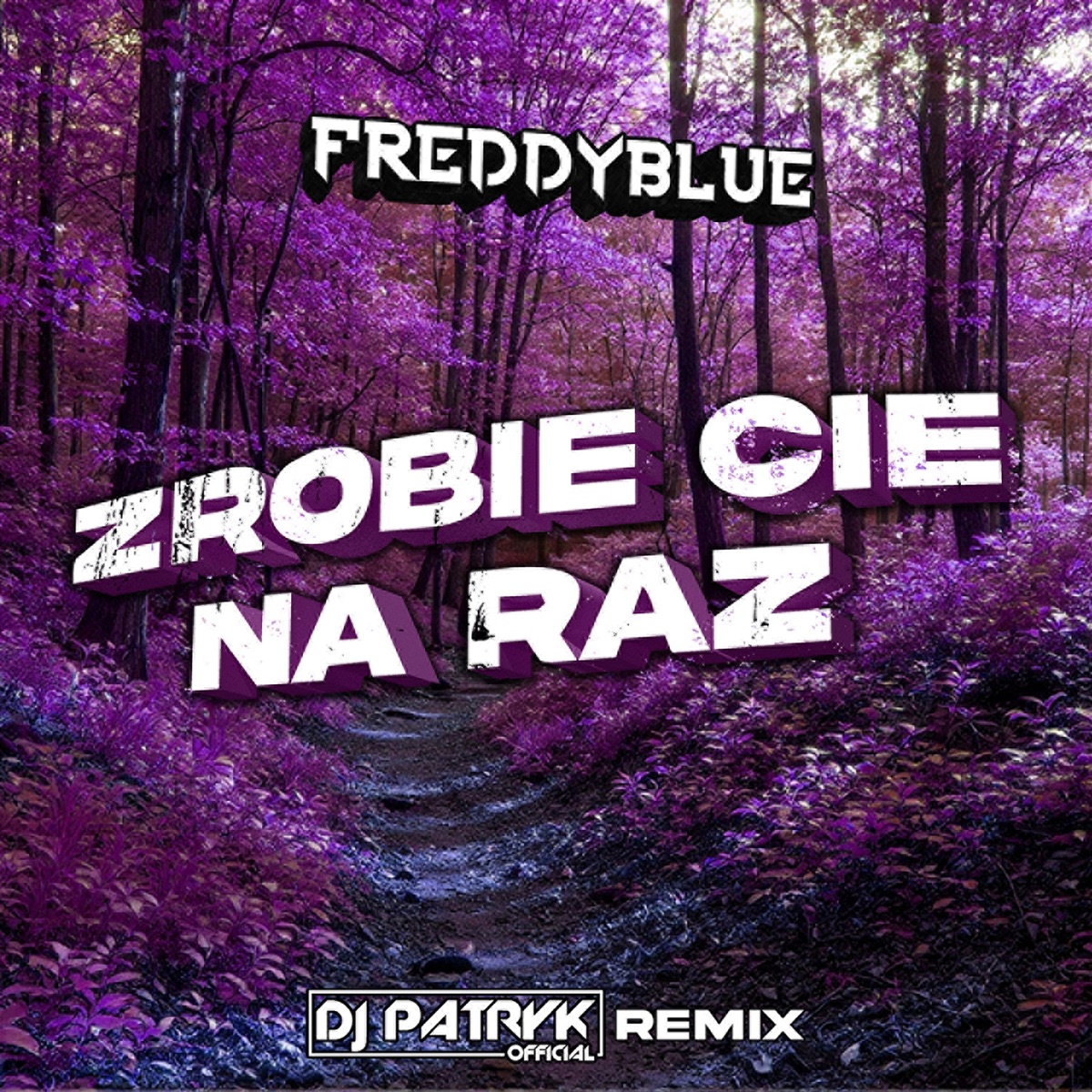 Zrobie Cie Na Raz (DJ Patryk Remix) - Single by FreddyBlue album cover