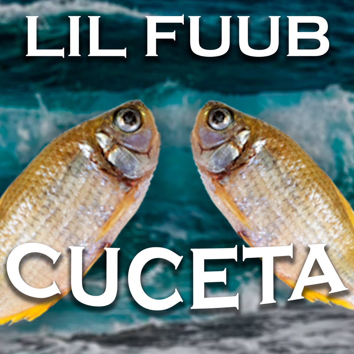 Cuceta - EP by Fuub album cover