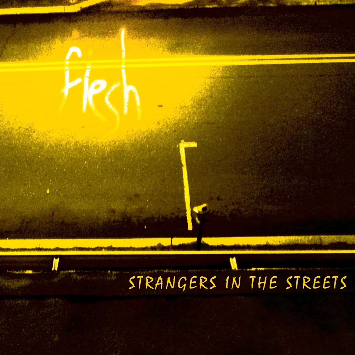 STRANGERS IN THE STREETS - Single by flesh album cover