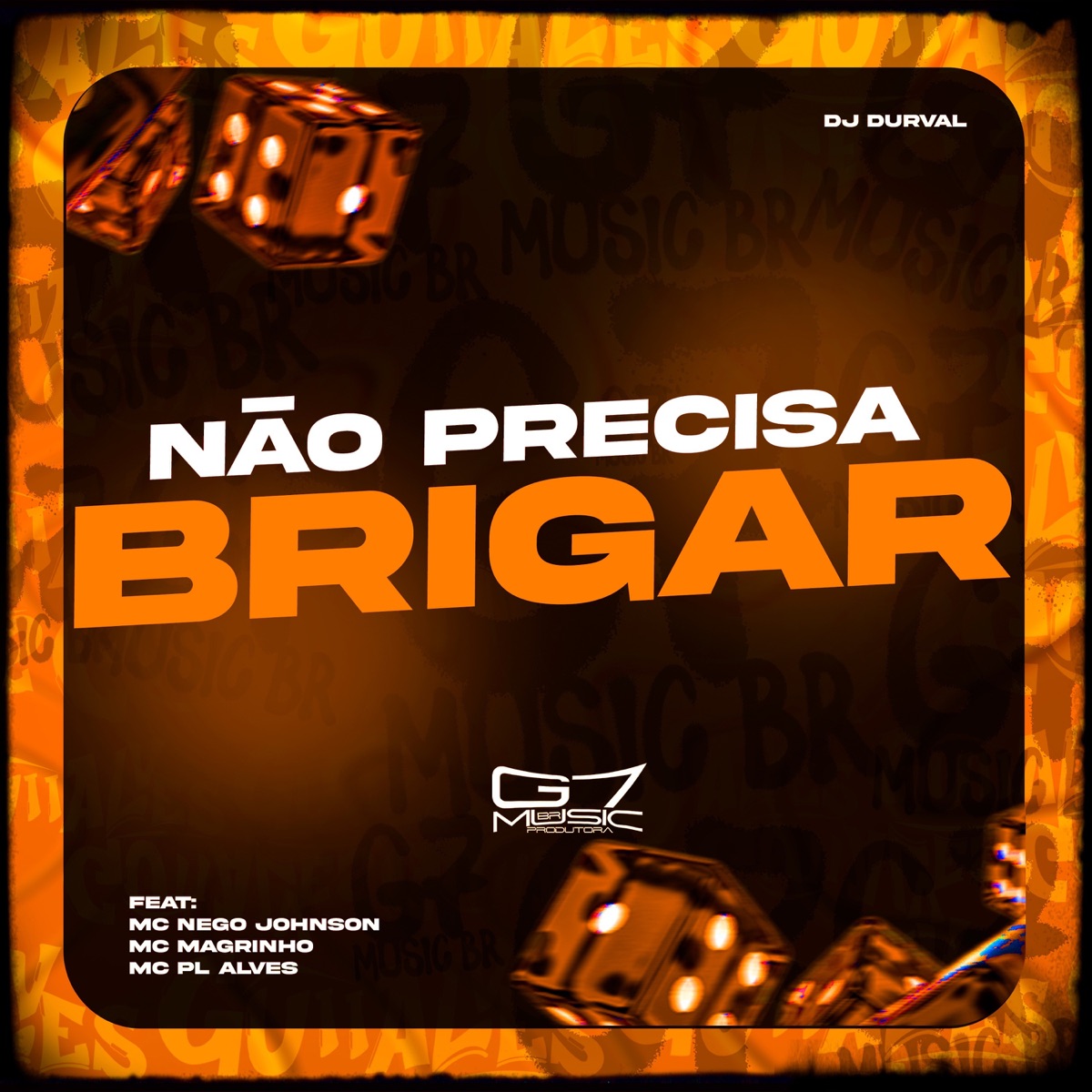 Não Precisa Brigar (feat. MC PL ALVES, Mc Magrinho & MC NEGO JOHNSON) - Single by DJ DURVAL album cover
