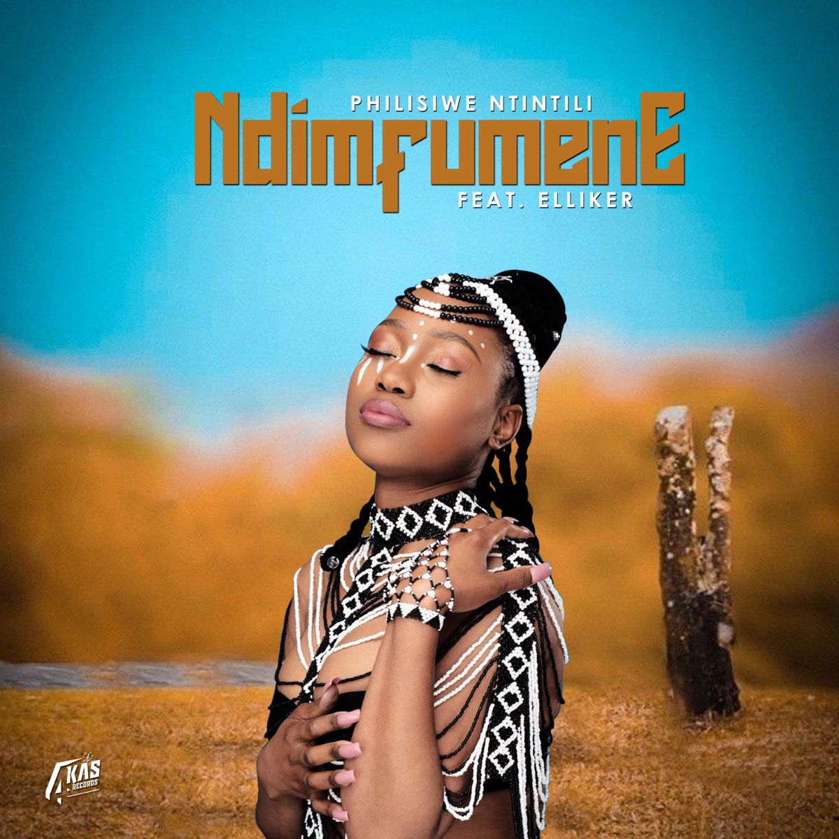 Ndimfumene (feat. Elliker) - Single by Philisiwe Ntintili album cover
