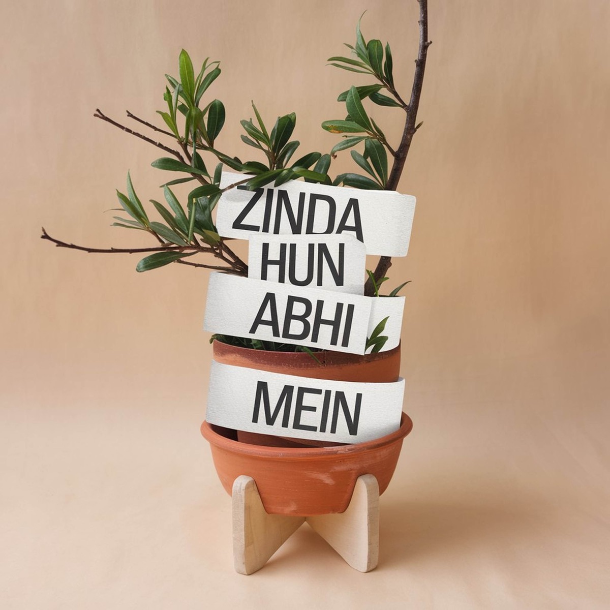 Zinda Hun Abhi Mein - Single by Rubina Iqbal, Music Violet Group & Mursalin Amjad album cover