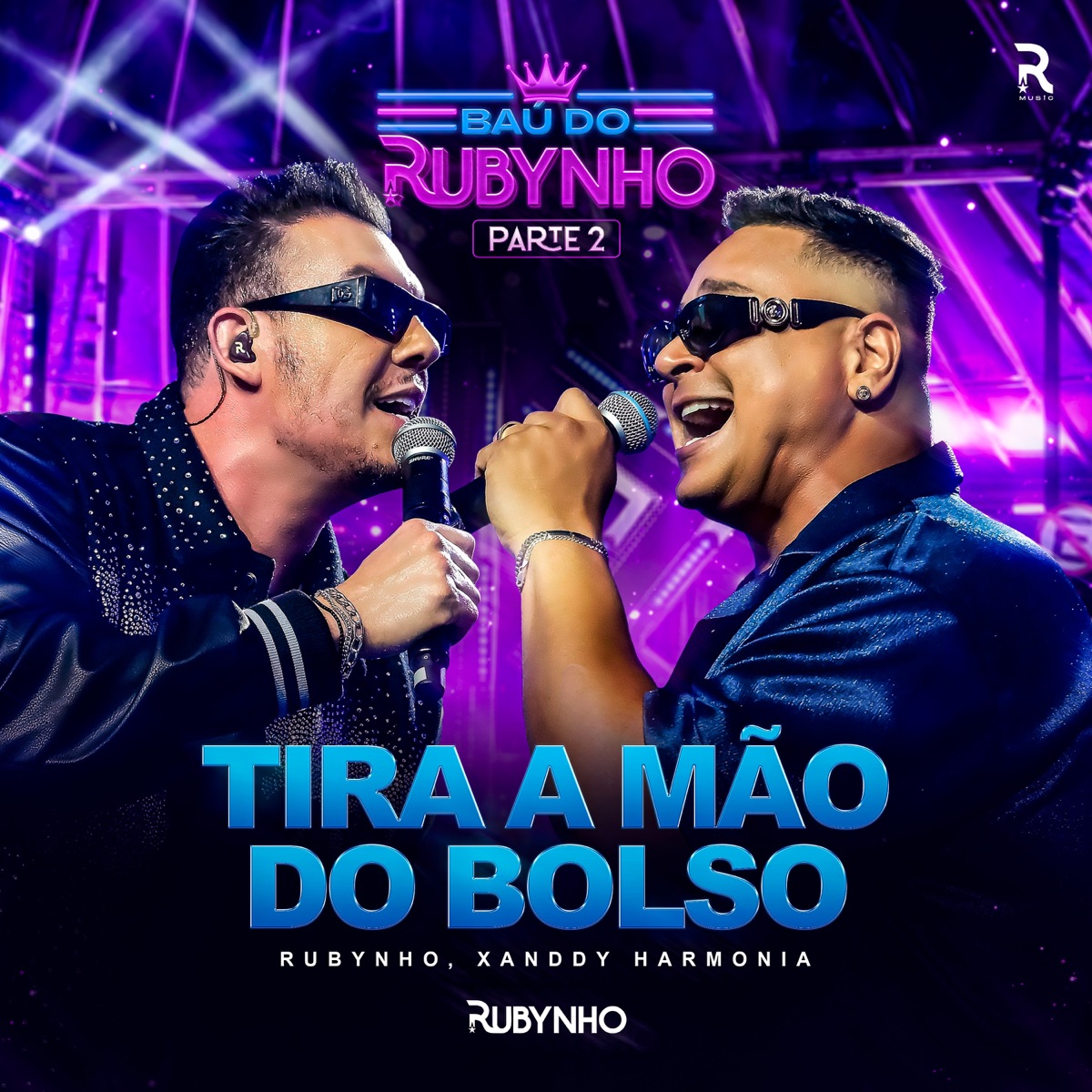 Tira a Mão do Bolso - Single by Rubynho & Xanddy Harmonia album cover