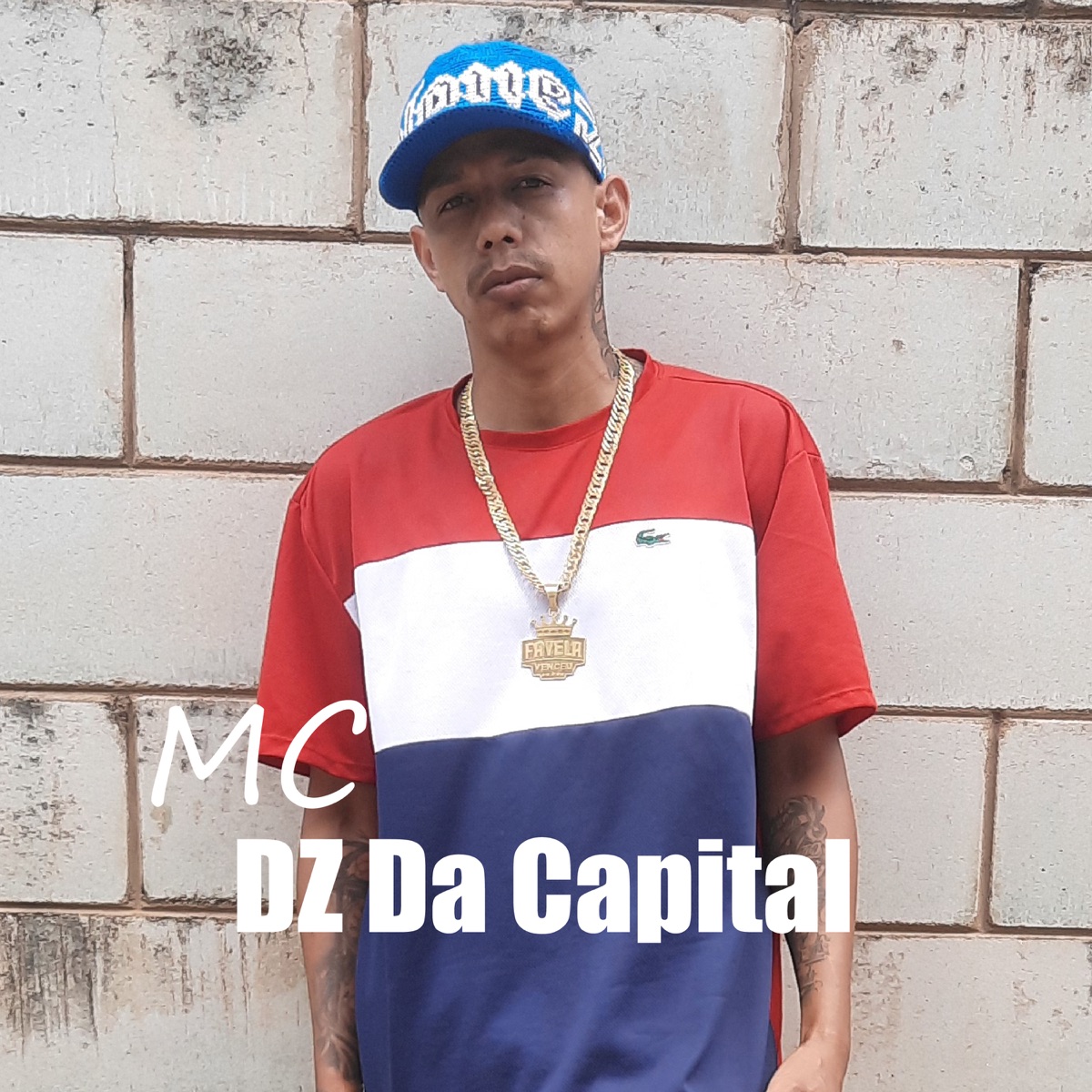 Meu Troféu - Single by Dj Neris & Dz da Capital album cover