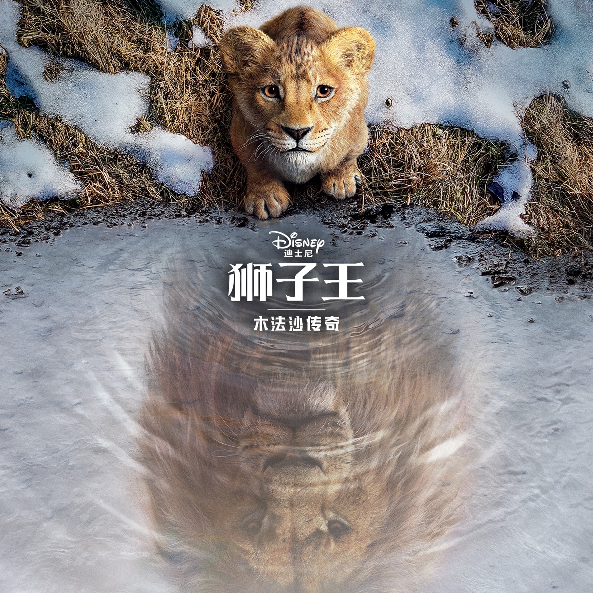 Mufasa: The Lion King (Mandarin Chinese Original Motion Picture Soundtrack) by Lin-Manuel Miranda, Lebo M & Dave Metzger album cover artwork