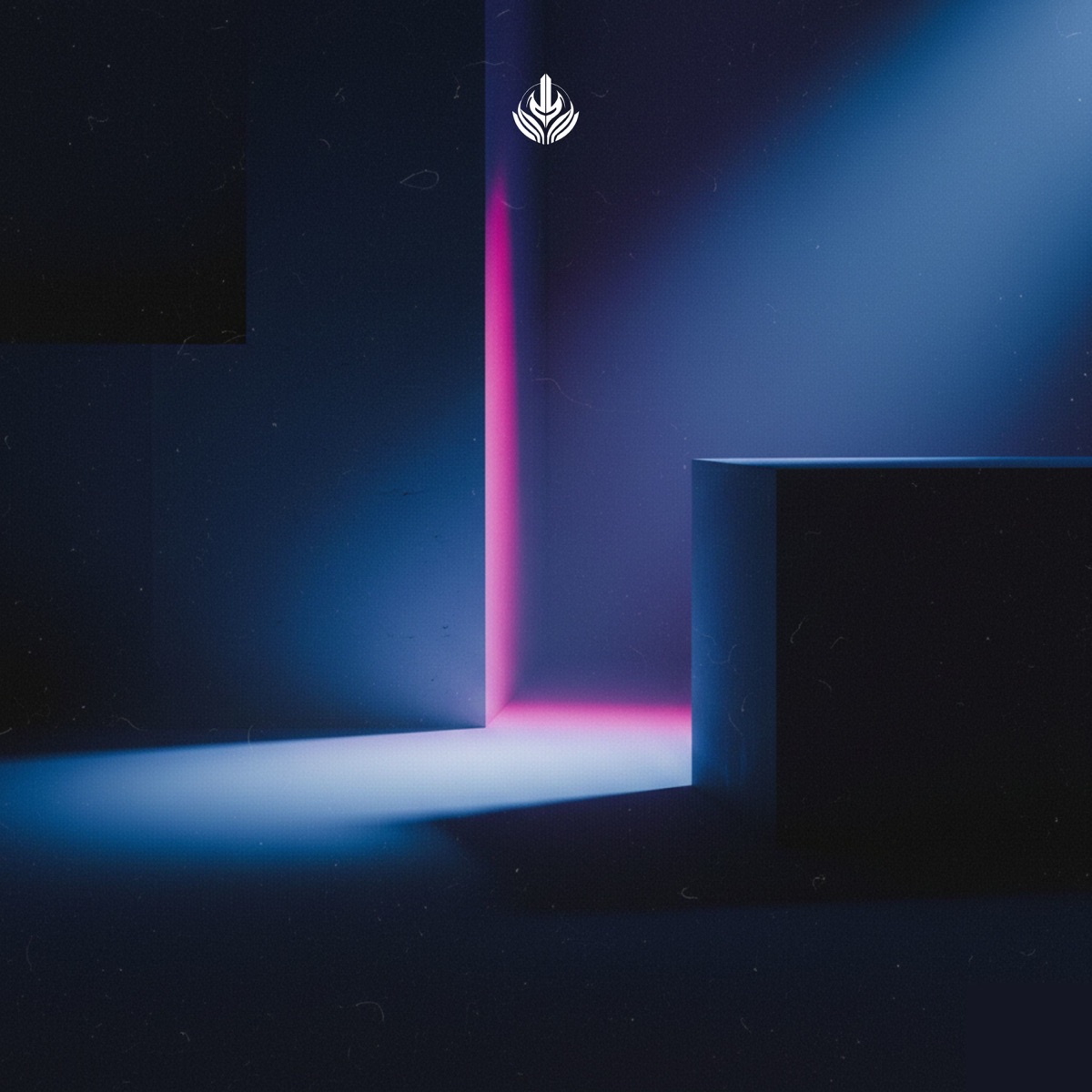 Festival Groove - Single by Xhall & Sunrize album cover
