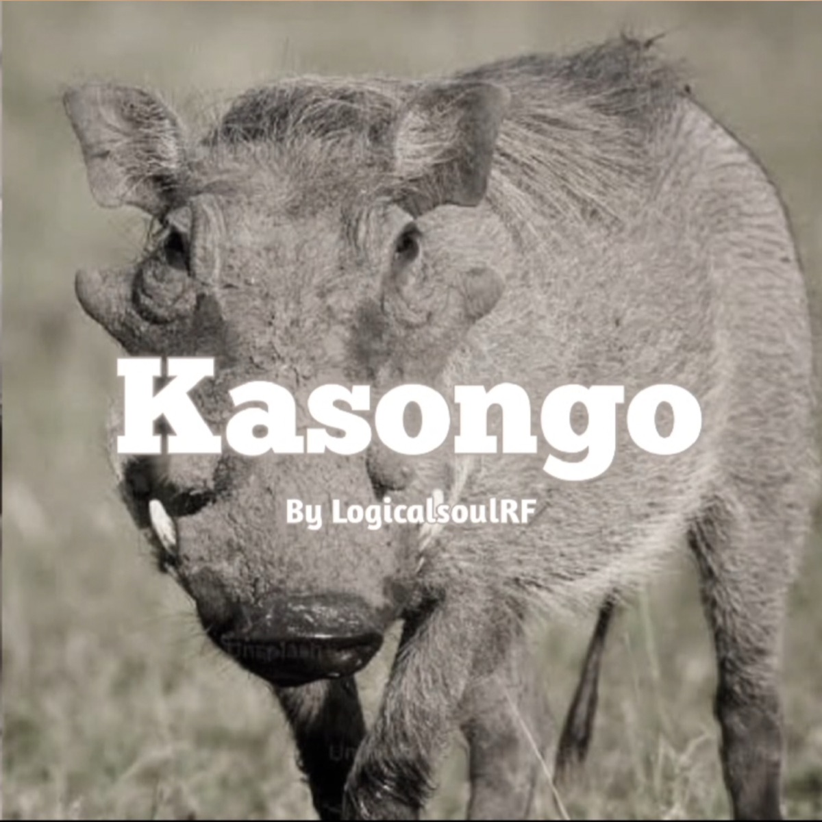 Kasongo (Remix) - Single by LogicalSoulRF album cover