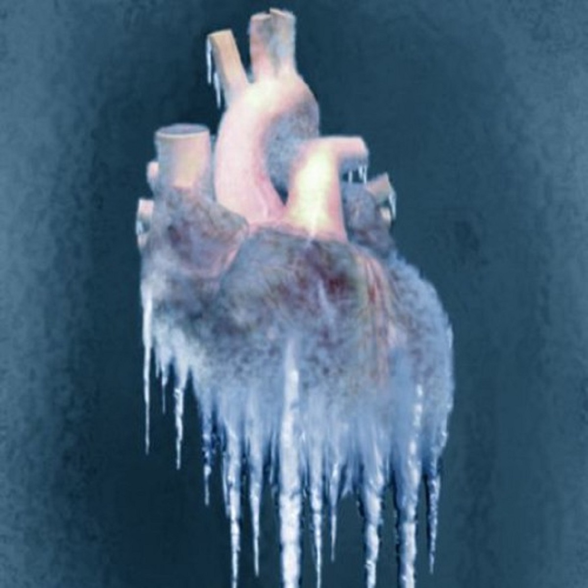 Icy Heart (Rmx) - Single by Sol7, Ricky Star & DCOD album cover