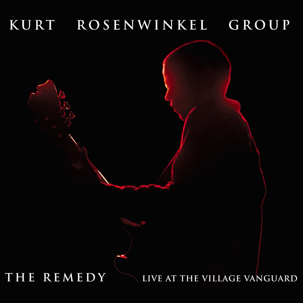The Remedy (Live at the Village Vanguard) by Kurt Rosenwinkel album cover
