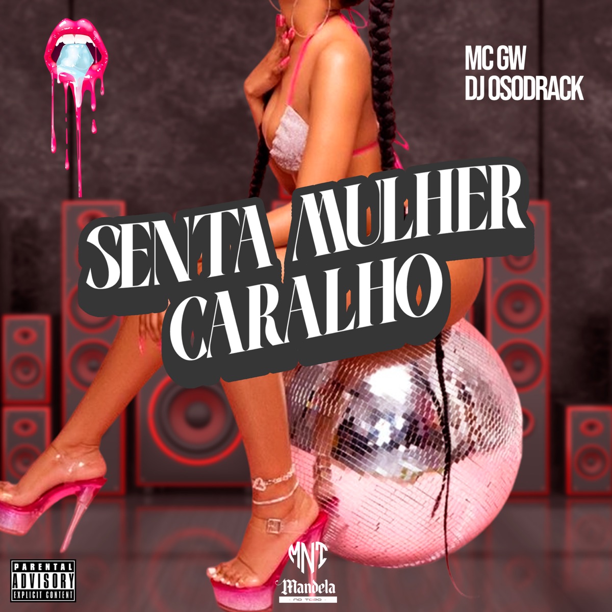 Senta Mulher Caralho - Single by DJ Osodrack & Mc Gw album cover